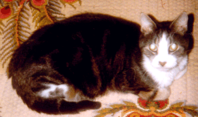 My little buddy.....