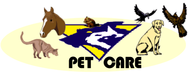 Pet Care Banner